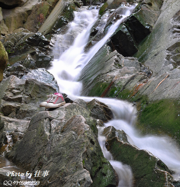 【高山流水摄影图片】宝安凤凰山生态摄影_摄