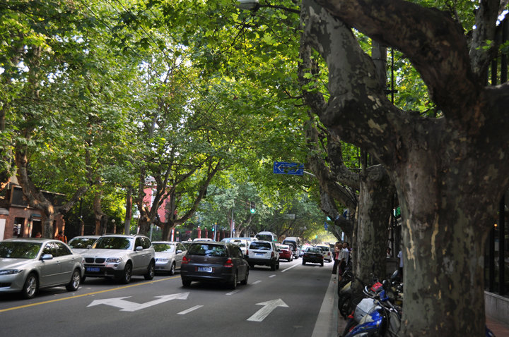 欧陆风情-----衡山路