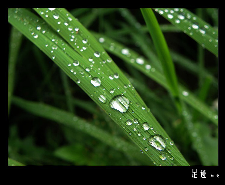 雨水的洗礼