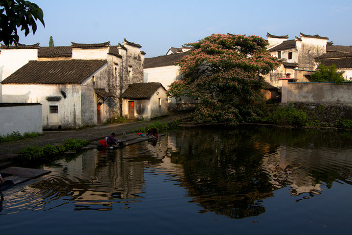 【美丽的古镇-诸葛村摄影图片】浙江金华风光