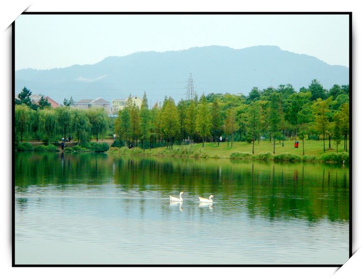 【青山绿水共为邻摄影图片】临安风光摄影