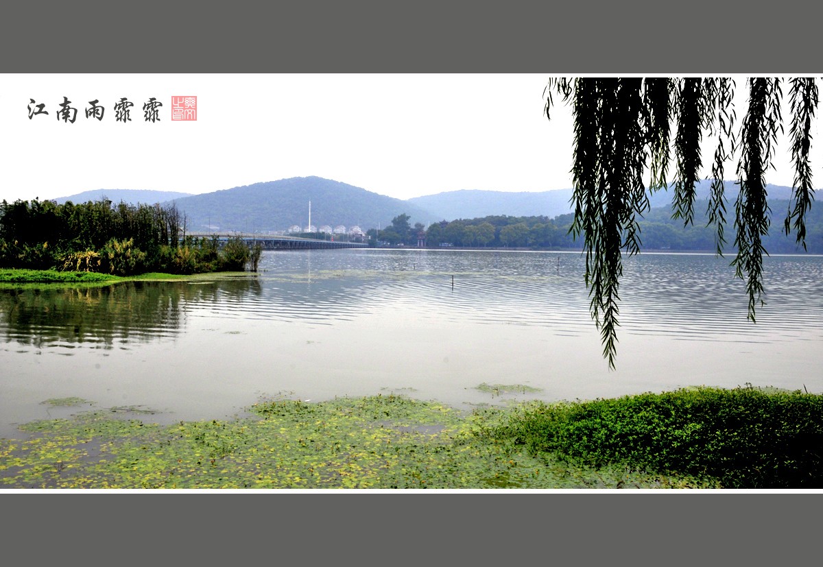 江南雨霏霏