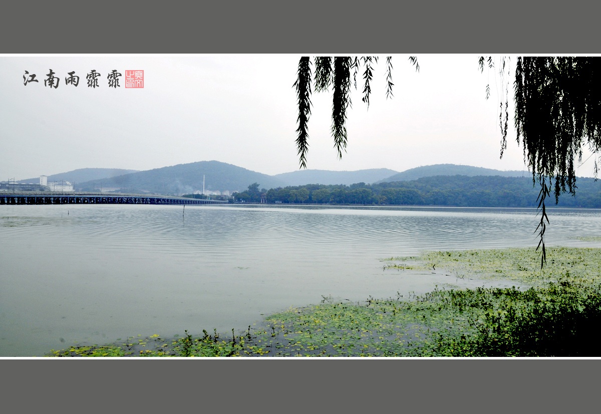 江南雨霏霏