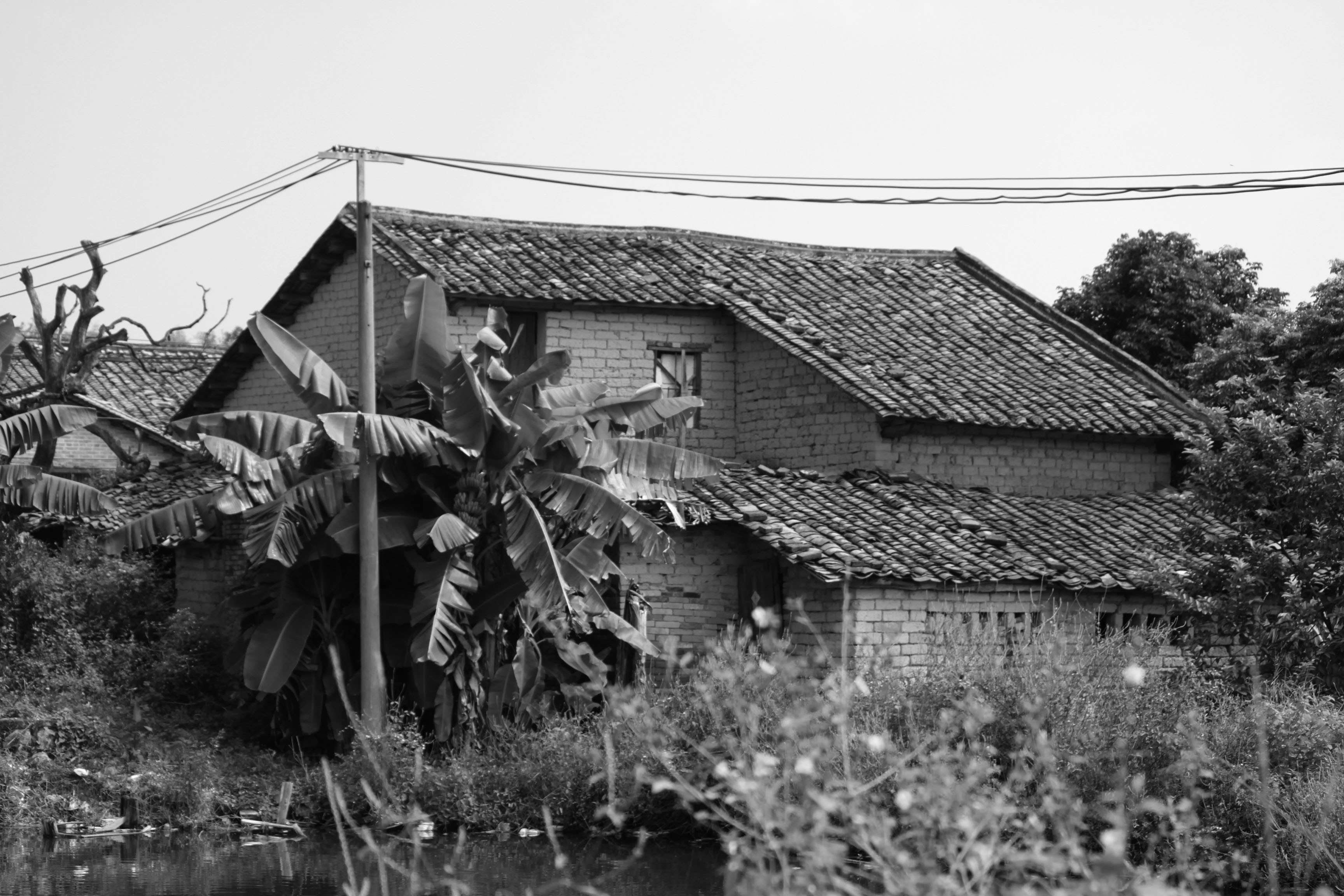 科学网—四川的老房子样式——穿斗房子 - 段含明的博文