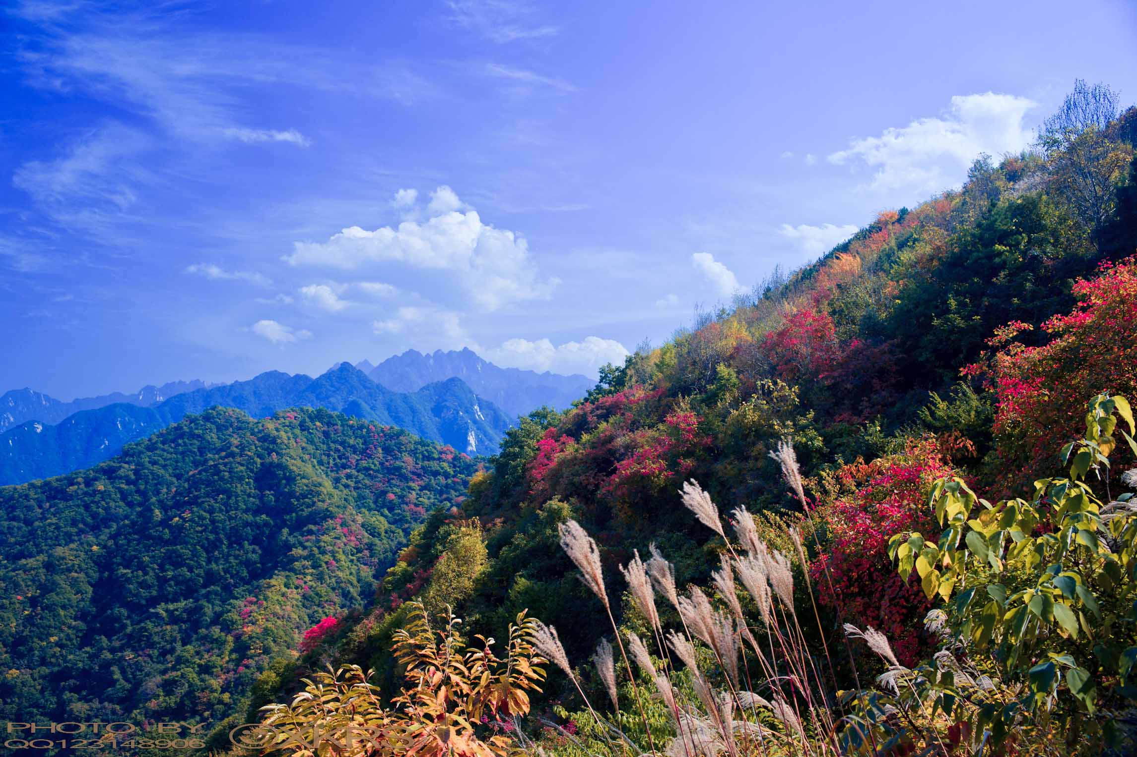 秦岭风光