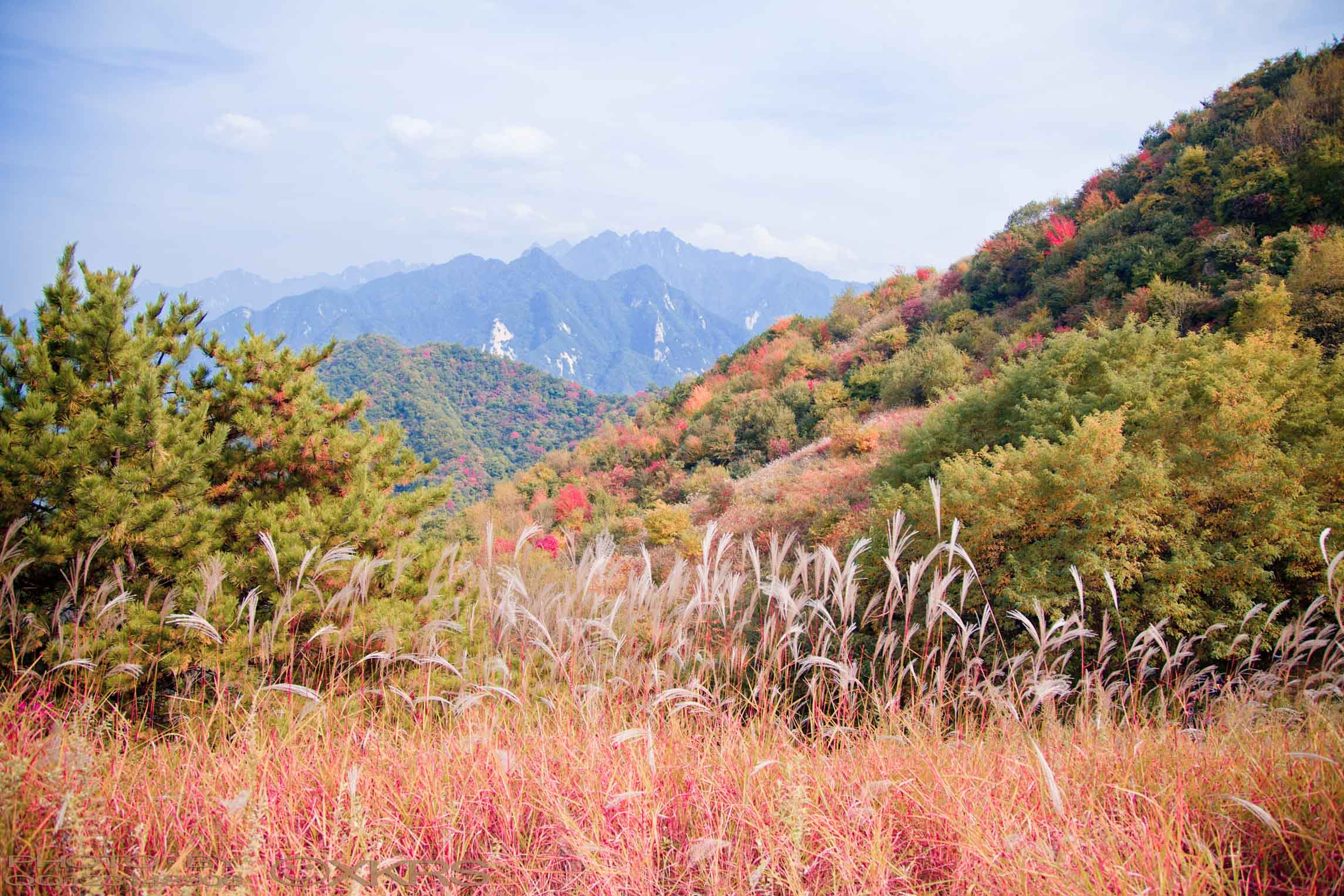 秦岭风光