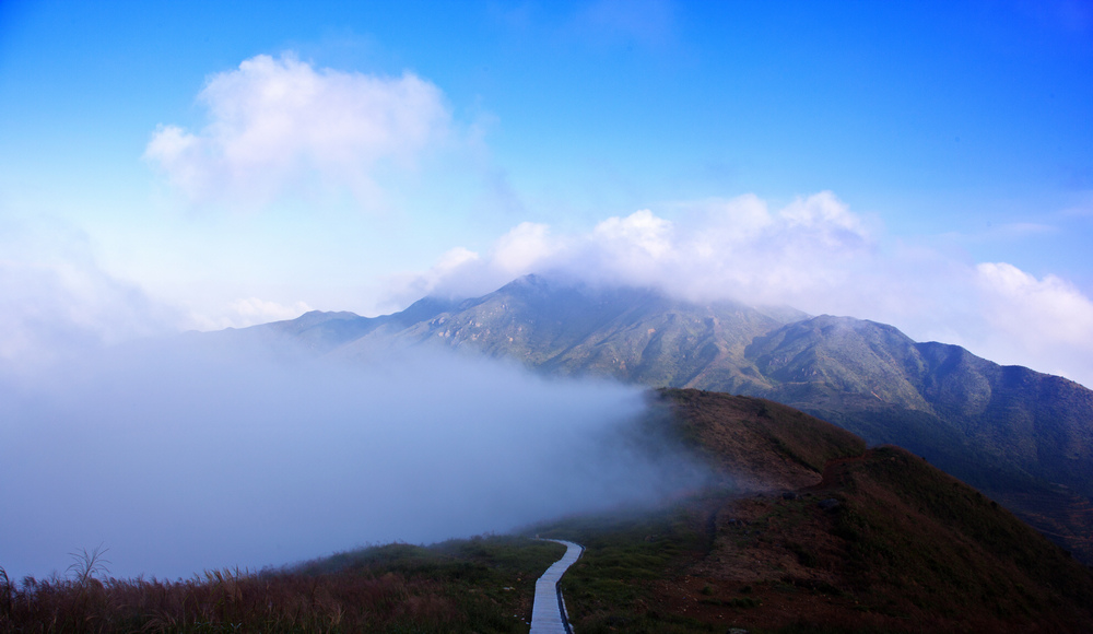 【闽南第一高峰———大芹山摄影图片】平和生态摄影