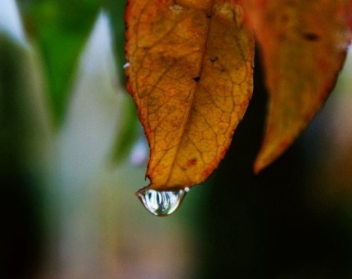 一场秋雨一场寒