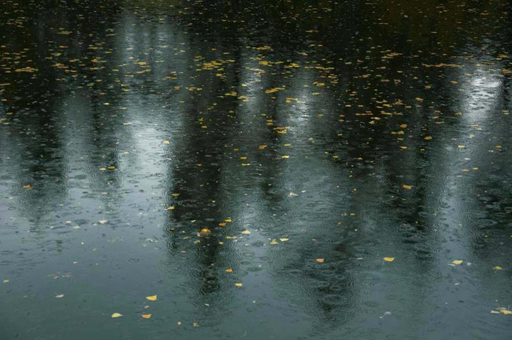 秋风 秋雨  秋叶