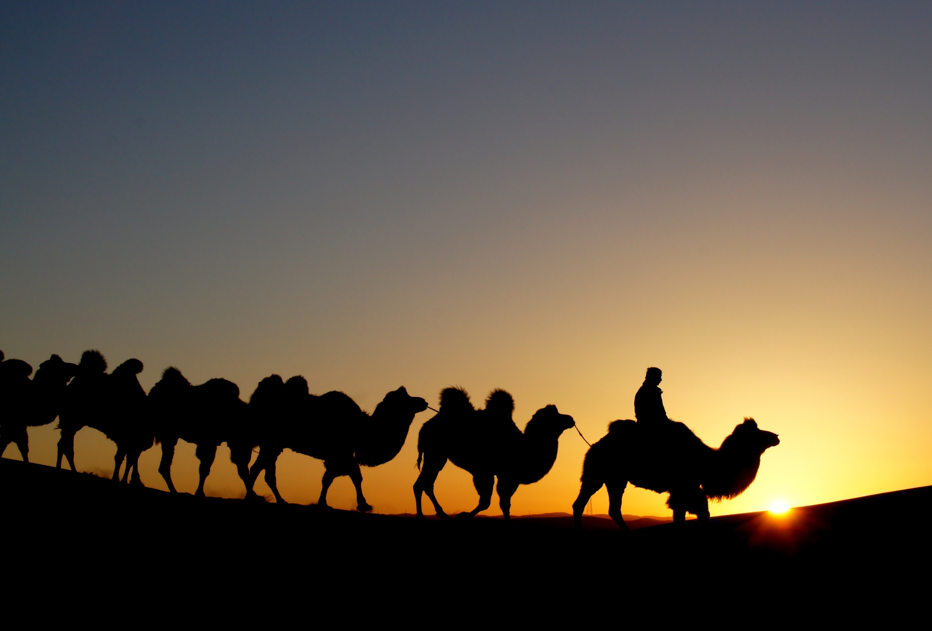 夕阳下的沙漠和骆驼剪影图片素材_免费下载_jpg图片格式_VRF高清图片500712168_摄图网