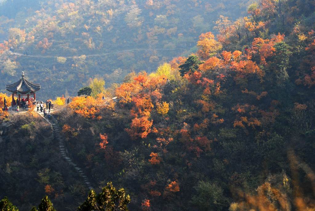 秋意香山(上)