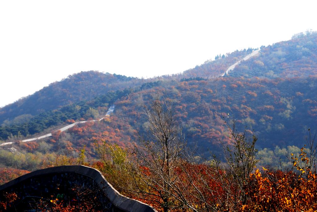 秋意香山(上)