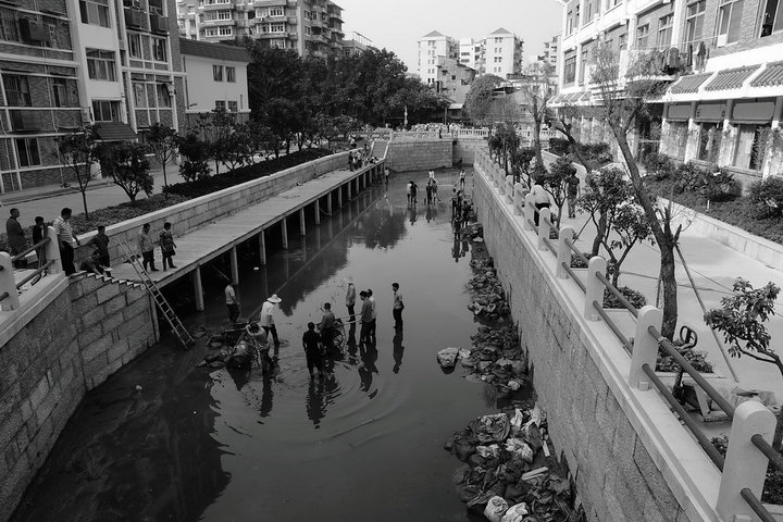 一湾溪水绿  两岸荔枝红--荔湾涌揭盖复涌纪实