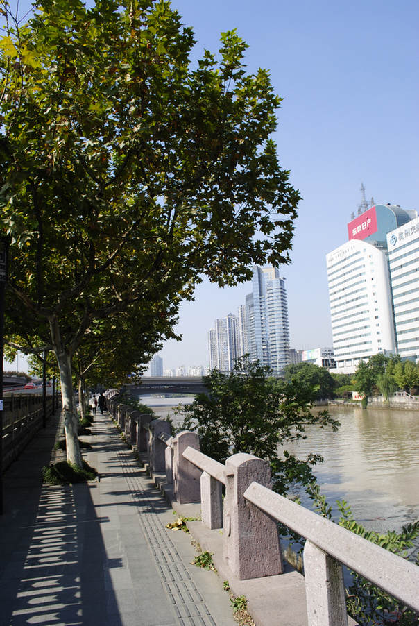 【黛青之间一流浑黄摄影图片】杭州 运河生态