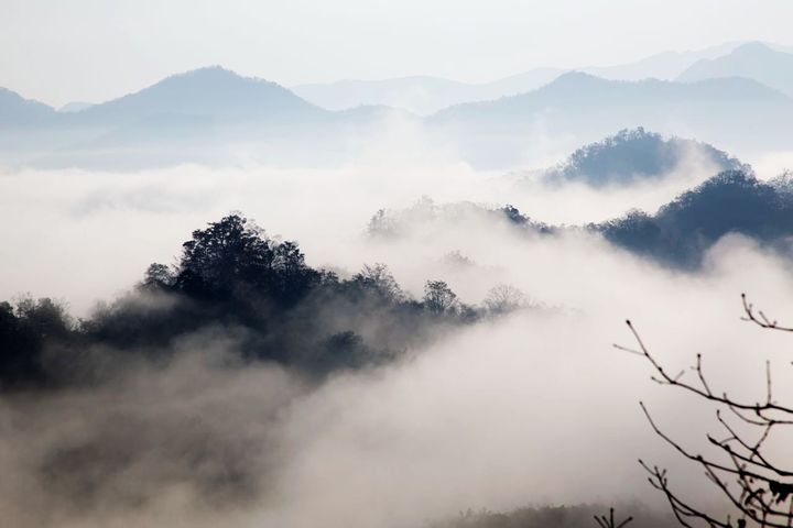 光雾山,光有雾的山