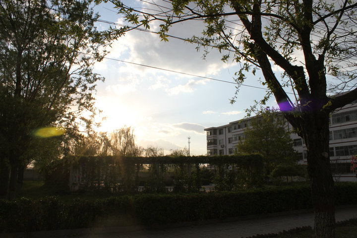 校园景色