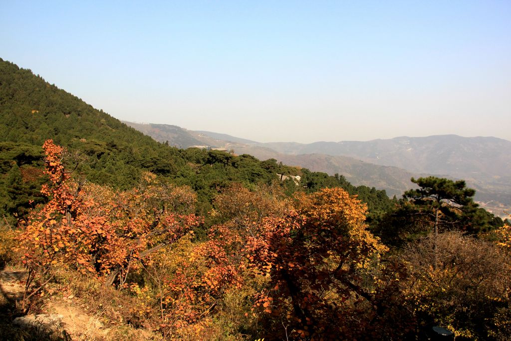 【秋意香山(下)摄影图片】北京香山景区风光旅游摄影