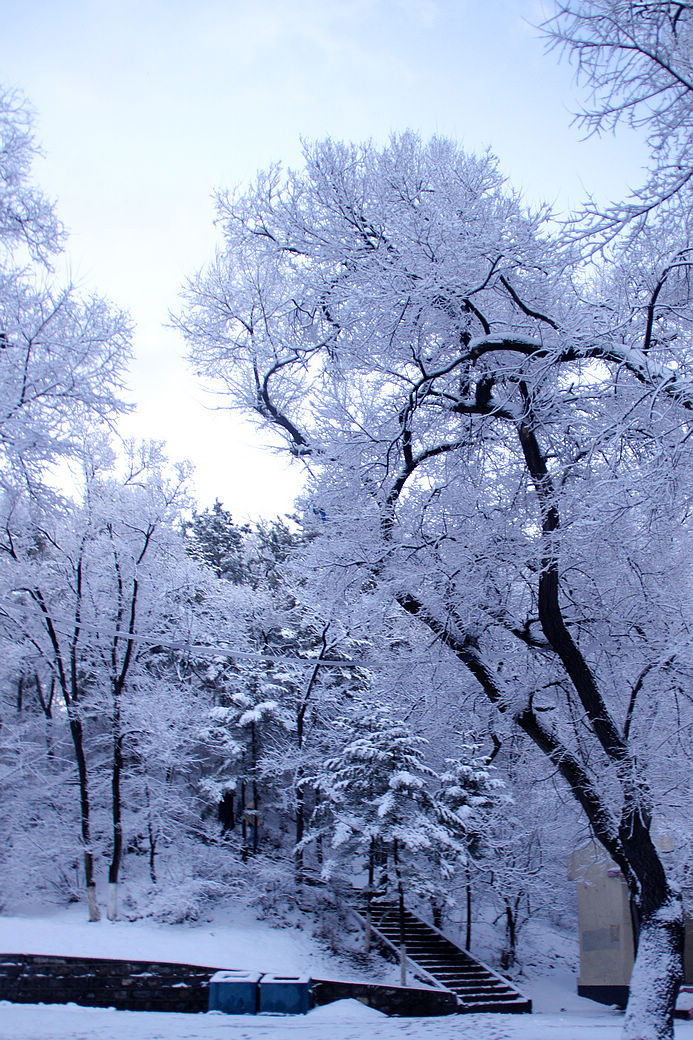 又见满天飞雪时