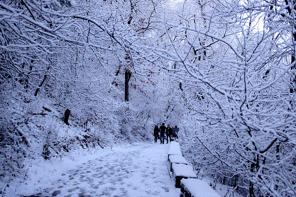 又见满天飞雪时