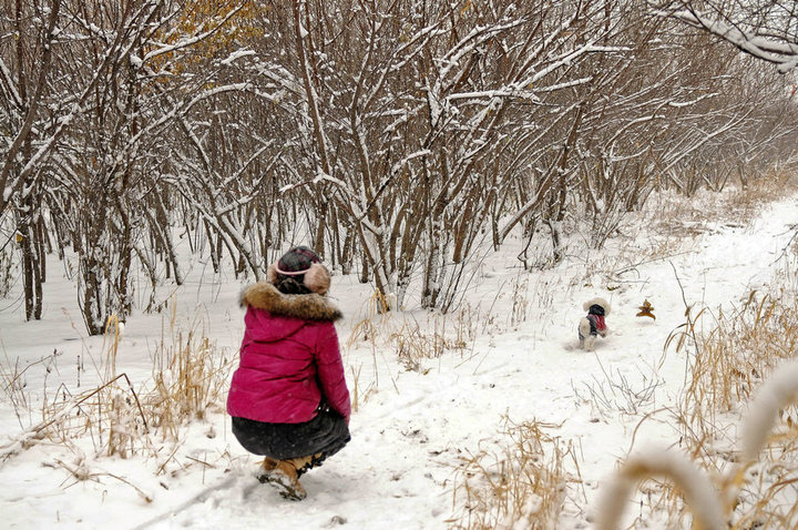 【雪景摄影图片】黑龙江省大庆市风光旅游摄影