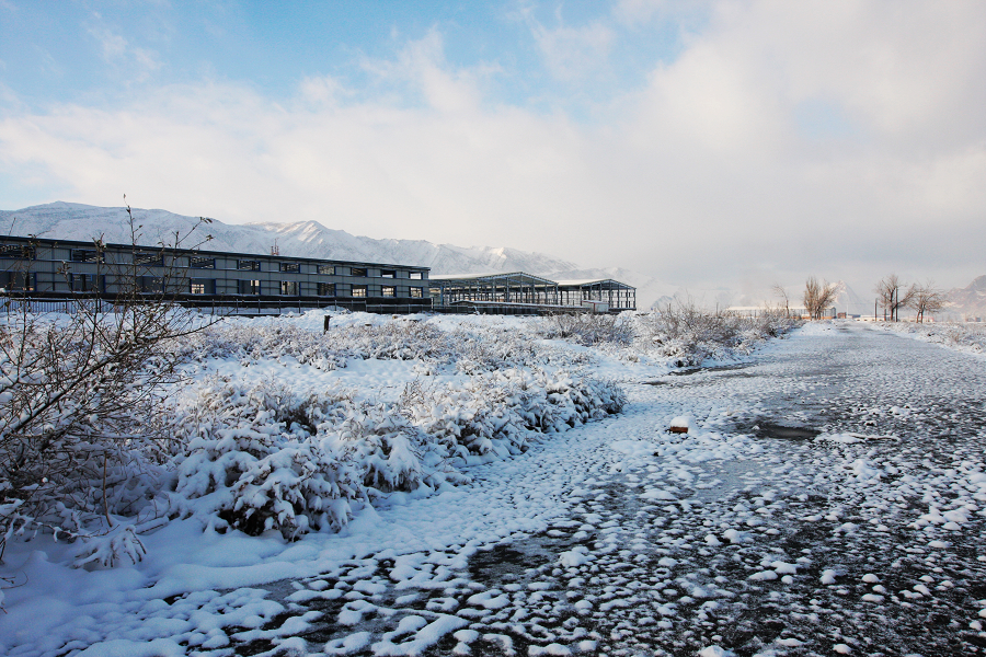 乌鲁木齐经济开发区雪景