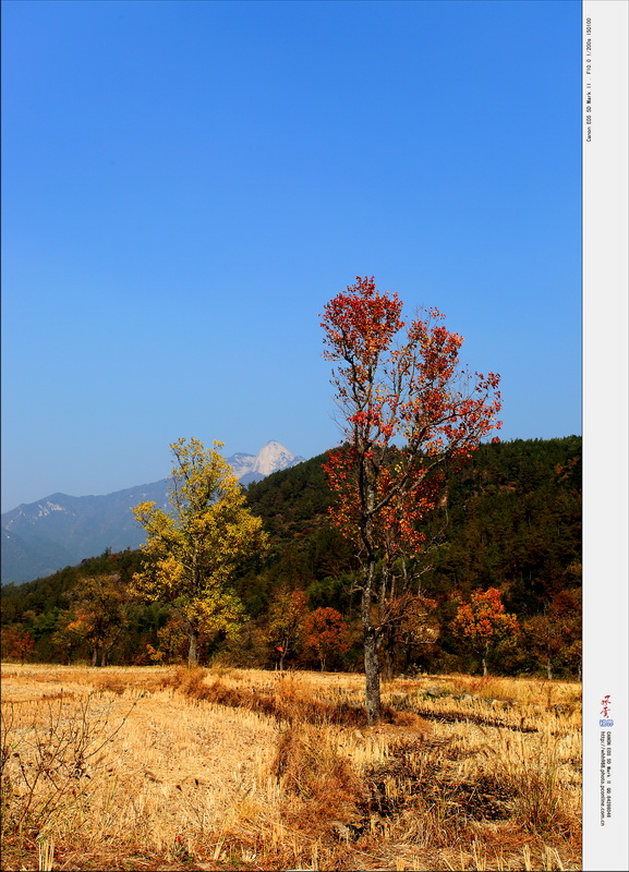 罗田九芝河秋景