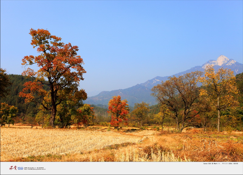 罗田九芝河秋景
