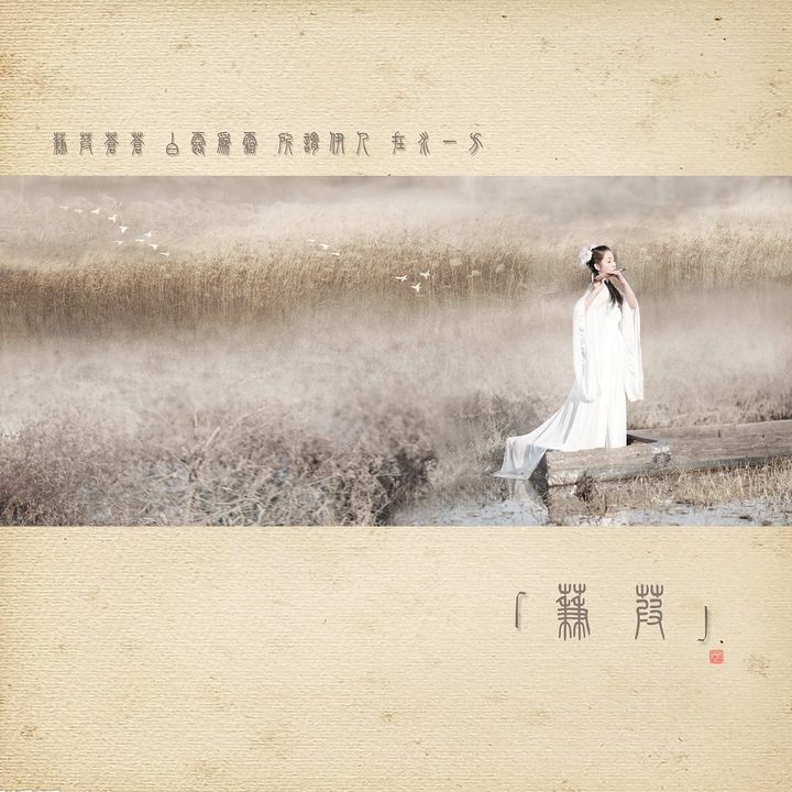 【画意诗经】之一《秦风  蒹葭》