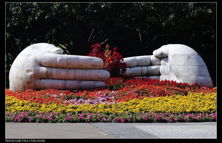 【广州雕塑公园!摄影图片】雕塑公园风光摄影
