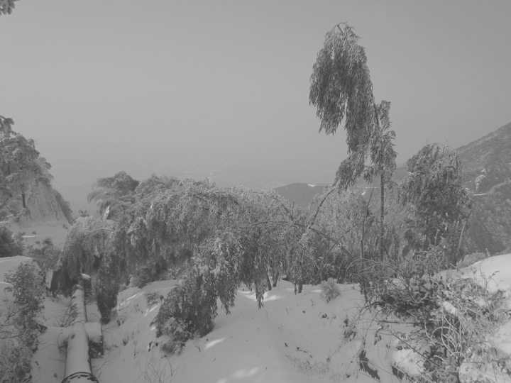 【南方赏雪--五盖山摄影图片】五盖山纪实摄影