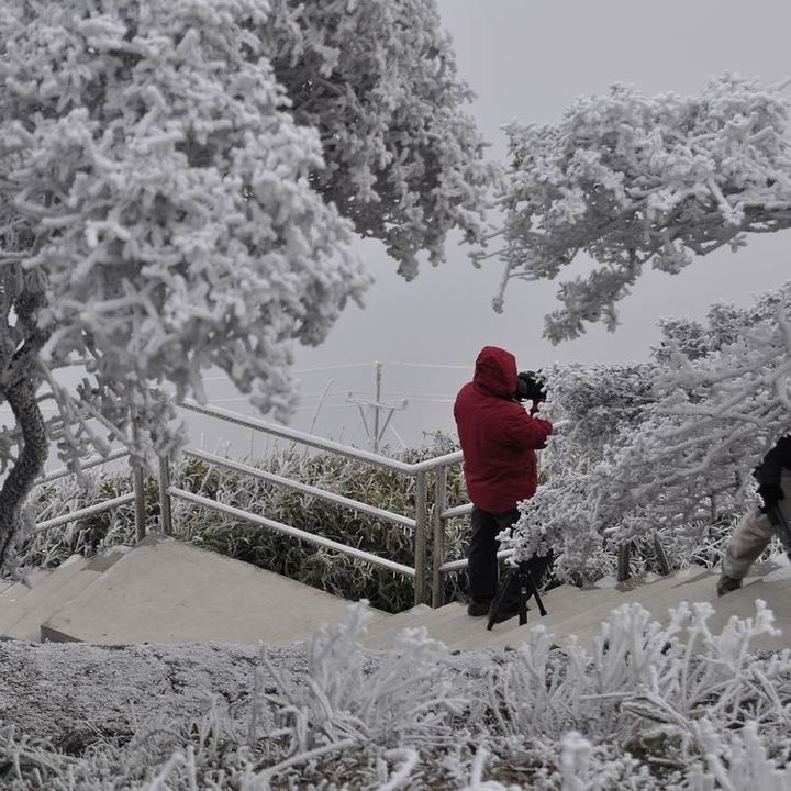 【九仙山雾凇(一)摄影图片】福建德化九仙山风光摄影