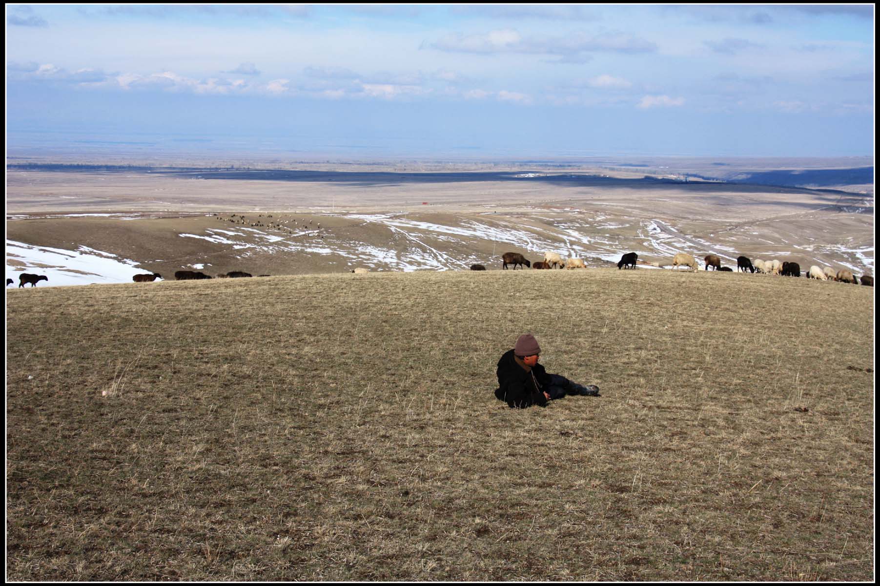 【孤独的牧羊人摄影图片】察布查尔县其他摄影