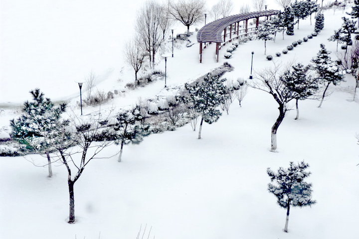 去年的雪景