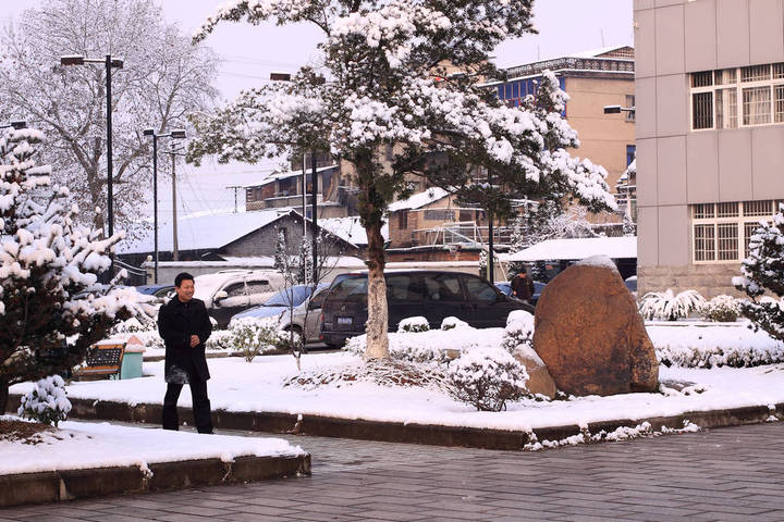 【小区雪后清晨摄影图片】景德镇市北景苑小区