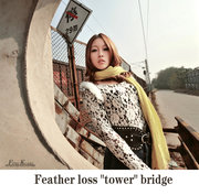 羽之遗失的“塔”桥(Feather loss “tower“ bridge)