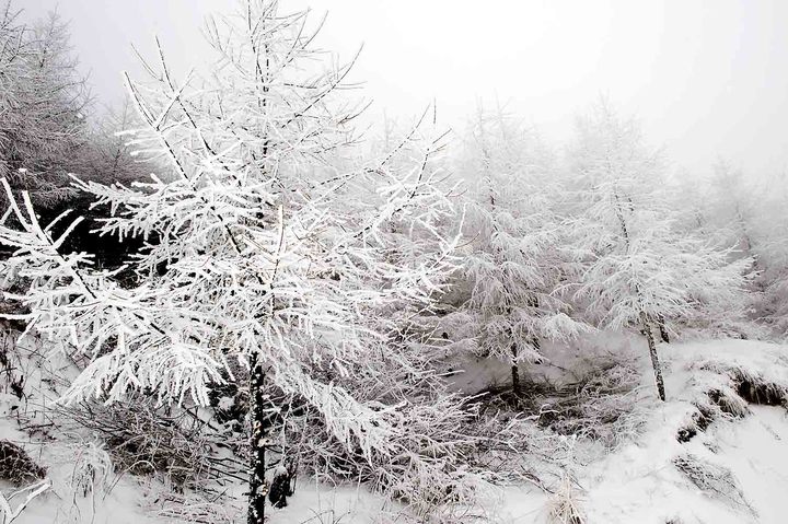 雪宝山