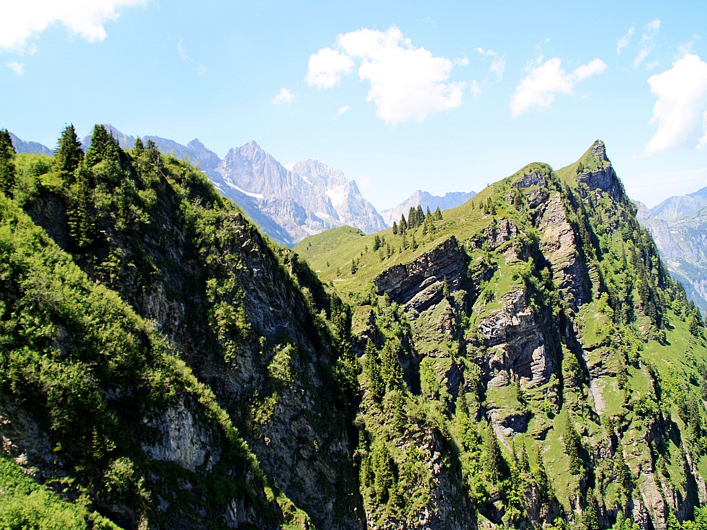 山上山下