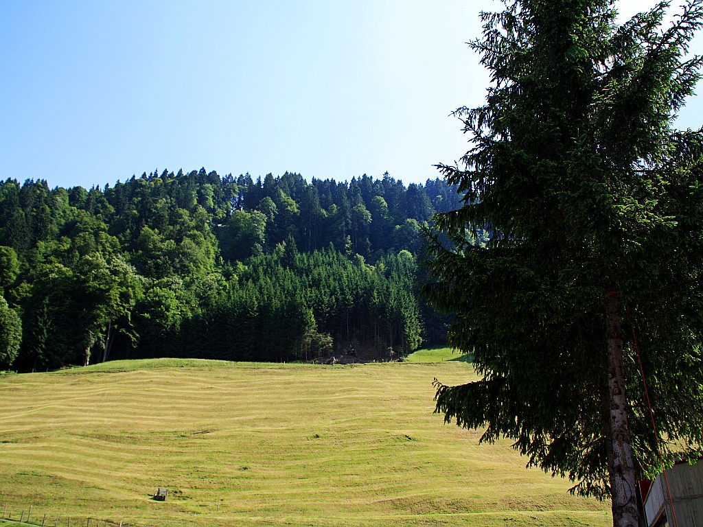 山上山下