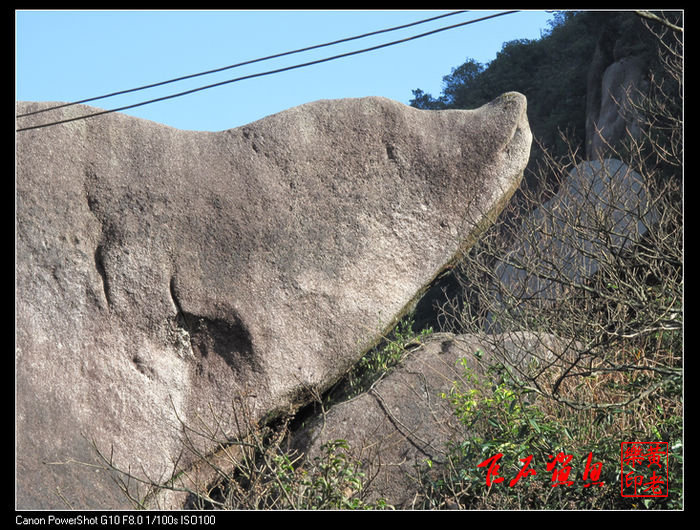 【乌山巨石摄影图片】福建诏安乌山风景区生态