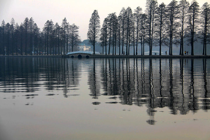 【美丽的武汉东湖风景区摄影图片】湖北武汉东