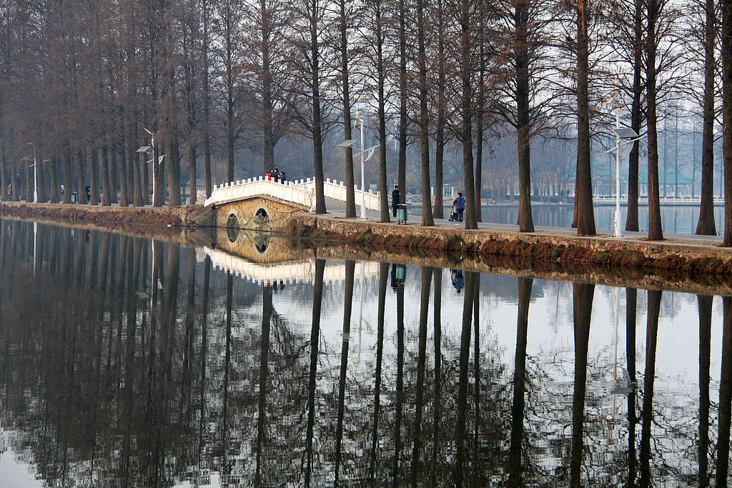 美丽的武汉东湖风景区