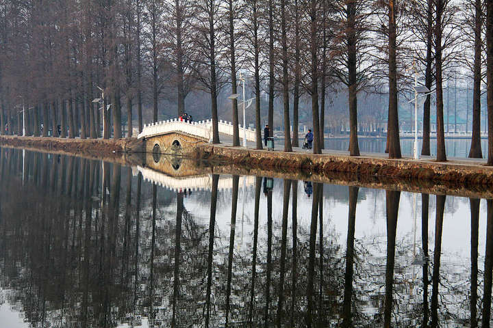 【美丽的武汉东湖风景区摄影图片】湖北武汉东