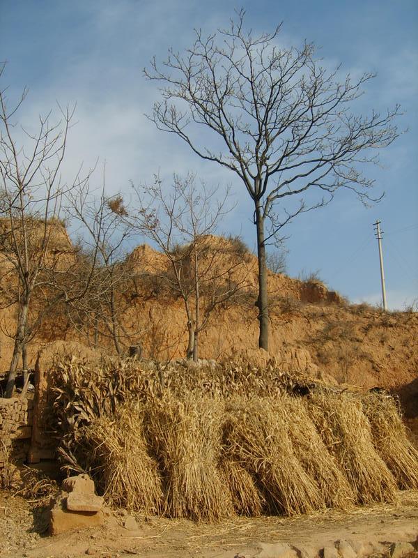 【我家住在黄土高坡摄影图片】山西省临汾市浮