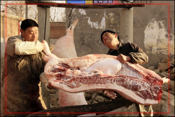 【过大年·杀猪摄影图片】行唐南城子纪实摄影