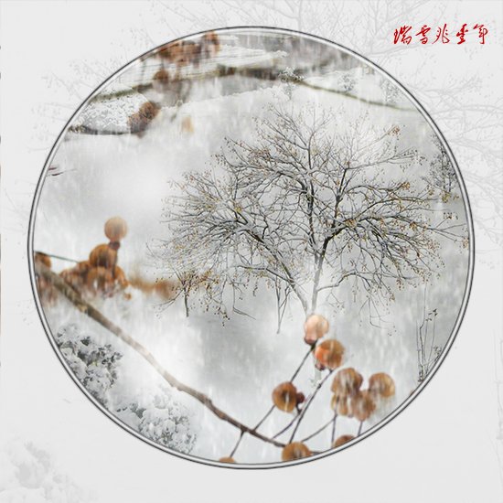 瑞雪兆丰年(共 6 p)