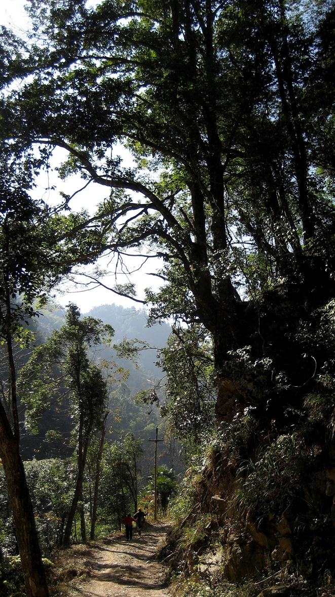 乡村映象(11):大山小村