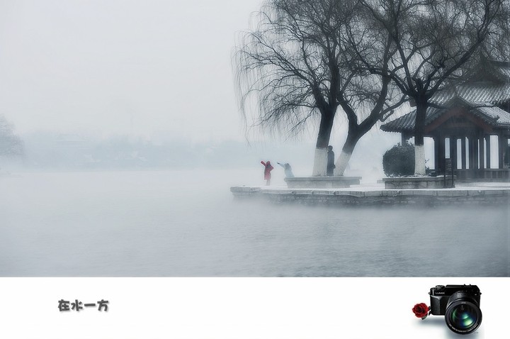 【*雾锁明湖,在水一方*摄影图片】济南大明湖风