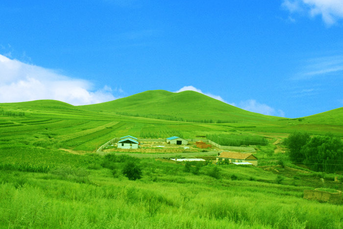 【我的家乡摄影图片】内蒙古兴安盟扎赉特旗罕