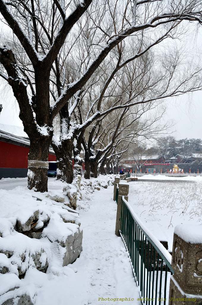 北京终于下雪了记雪后北海公