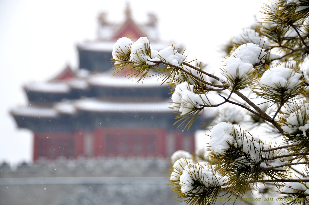 北京终于下雪了——记雪后北海公园